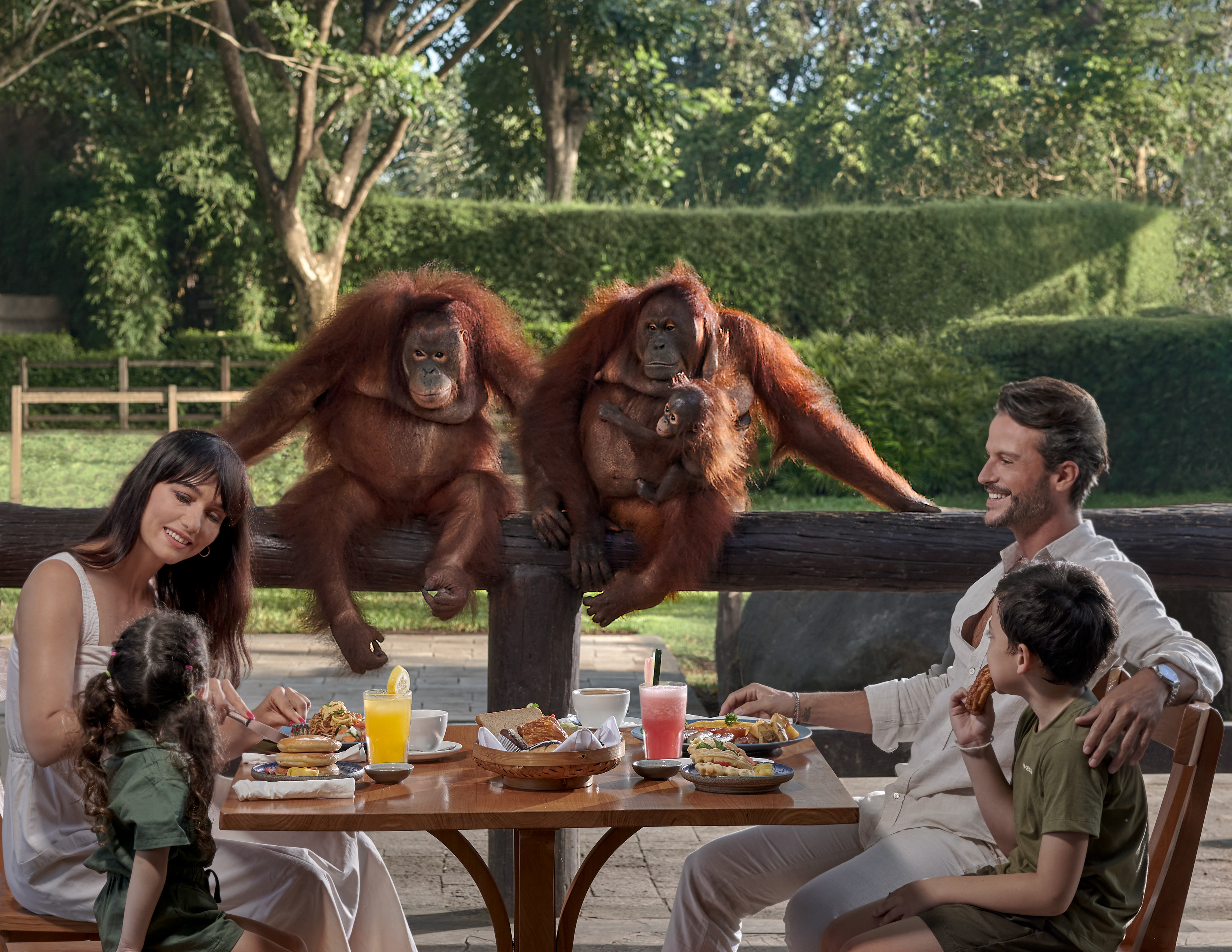 Breakfast with Orangutan (Child) - International